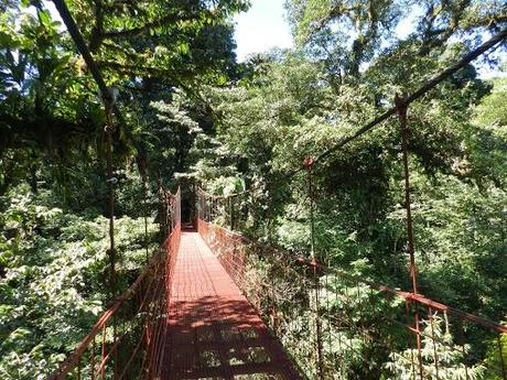 Qué visitar en Monteverde, la joya de bosque nublado en Costa Rica