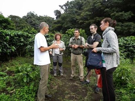 Qué visitar en Monteverde, la joya de bosque nublado en Costa Rica