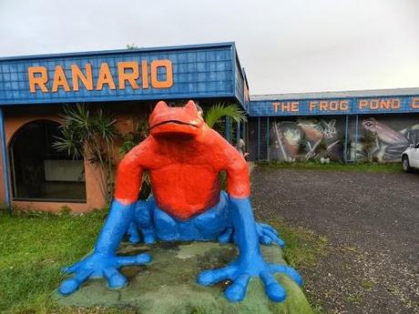 Qué visitar en Monteverde, la joya de bosque nublado en Costa Rica