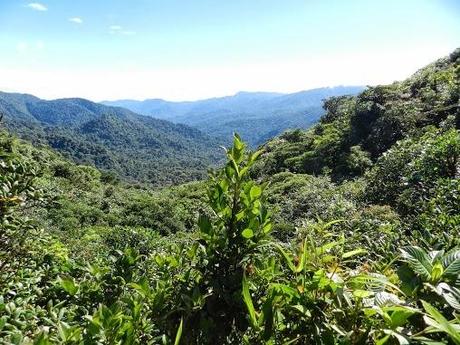 Qué visitar en Monteverde, la joya de bosque nublado en Costa Rica