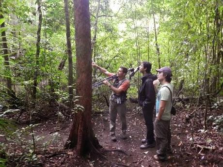 Qué visitar en Monteverde, la joya de bosque nublado en Costa Rica