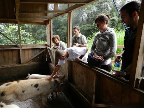 Qué visitar en Monteverde, la joya de bosque nublado en Costa Rica