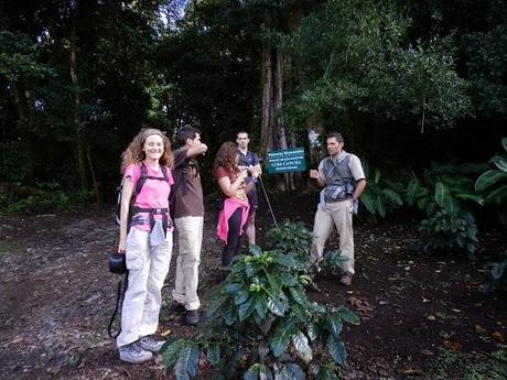 Qué visitar en Monteverde, la joya de bosque nublado en Costa Rica