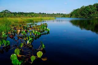 Laguna Pilchicocha, Ecuador, Sudamérica