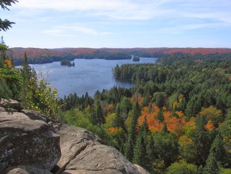 Los ecos de Arnaud Blanchard (III)