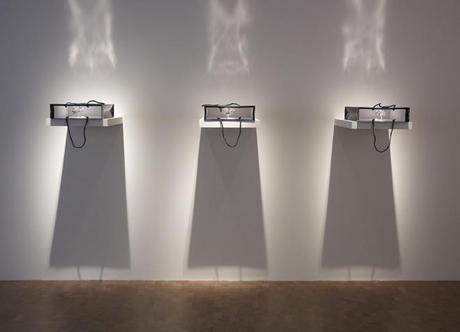 Yuken Teruya y su fantástica propuesta de árboles en bolsas