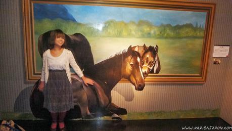 Trick Art Museum (Nikko) el museo 3D que no es 3D