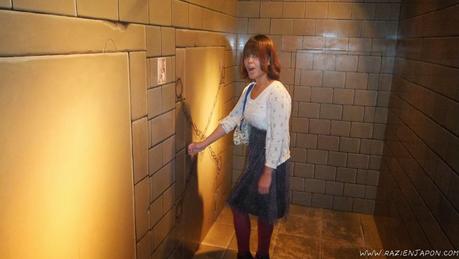 Trick Art Museum (Nikko) el museo 3D que no es 3D