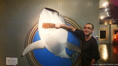 Trick Art Museum (Nikko) el museo 3D que no es 3D