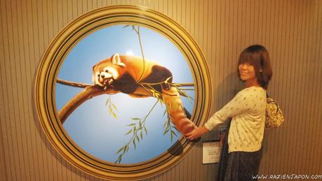 Trick Art Museum (Nikko) el museo 3D que no es 3D