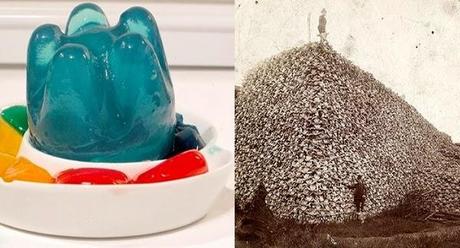  tejidos conectivos de los animales muertos 