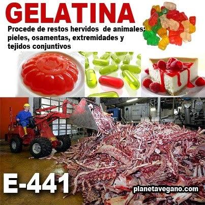  tejidos conectivos de los animales muertos 