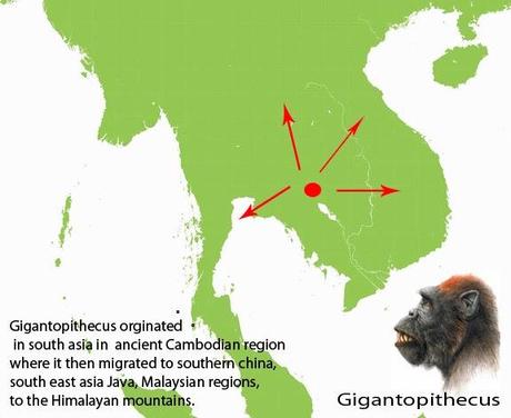 GIGANTOPITHECUS,EL MONO MÁS GRANDE DE TODA LA HISTORIA