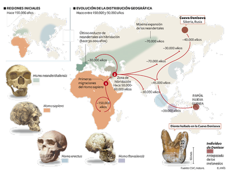 regiones iniciales de la vida homo sapiens,neandertal,erectus