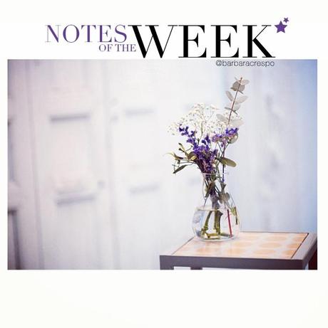 notes of the week barbara crespo tumblr social media instagram youtube instavideo