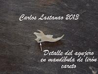 Los dientes de los roedores. Familias Sciuridae y Gliridae