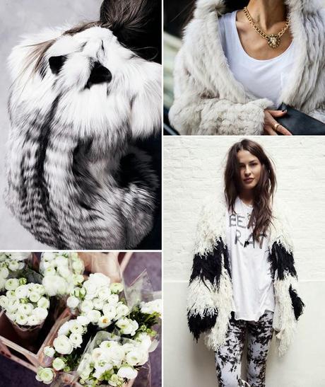 INSPIRATION: FUR COATS