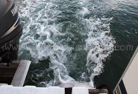 Valencia al mar, sus Poblados Marítimos y el puerto