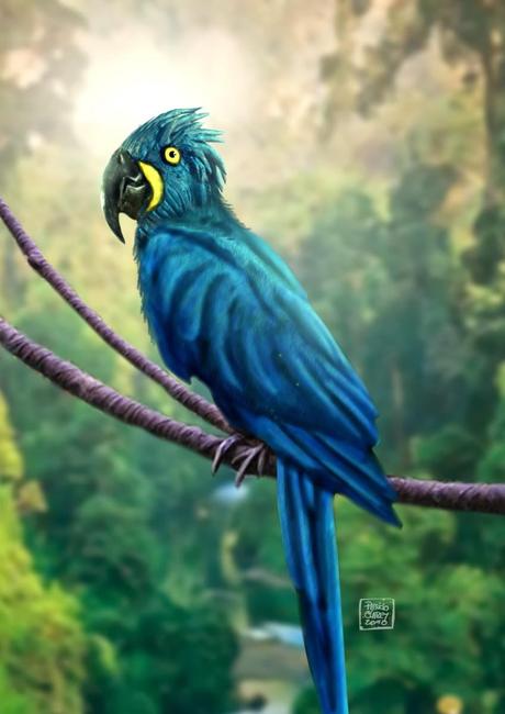 Chlorophyll Project: En la selva arrasada, José Arcos&Entrevista