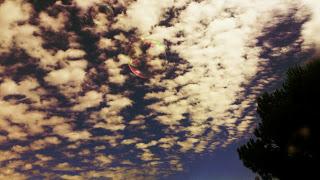 IRREMEDIABLEMENTE... HOY TE PIENSO CON MÁS FUERZA