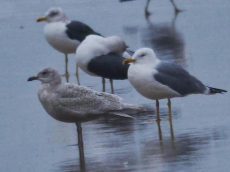 Una polar en Xivares, y alguna más.