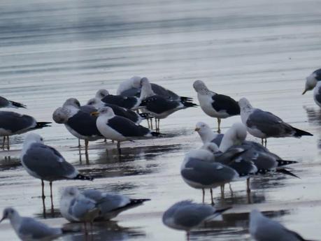 Una polar en Xivares, y alguna más.