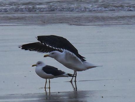 Una polar en Xivares, y alguna más.