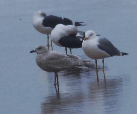 Una polar en Xivares, y alguna más.
