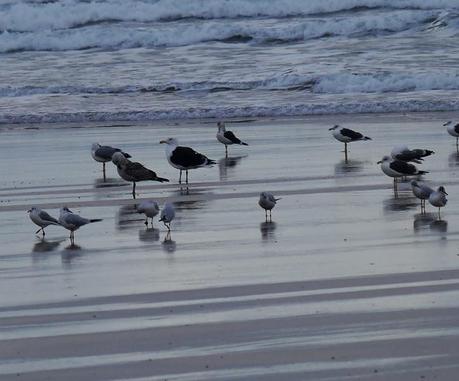 Una polar en Xivares, y alguna más.