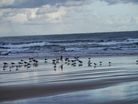 Una polar en Xivares, y alguna más.