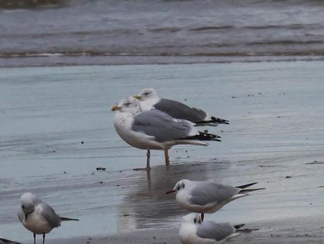 Una polar en Xivares, y alguna más.