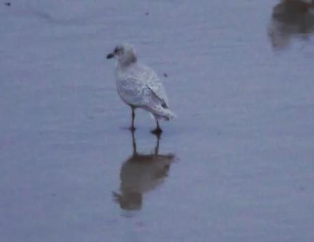 Una polar en Xivares, y alguna más.