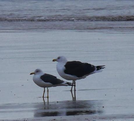 Una polar en Xivares, y alguna más.