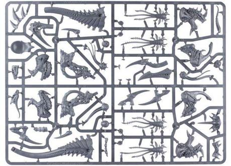 Harpía Aeróvoro matriz 2
