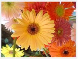 El Señorío de Cristo en nuestras vidas