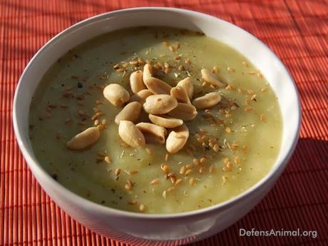 Crema de calabacín blanco Crema de calabacín blanco