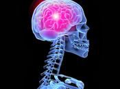 dolor proyecta cerebro