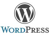 Quiero hacer blog, cómo hace? (II): WordPress