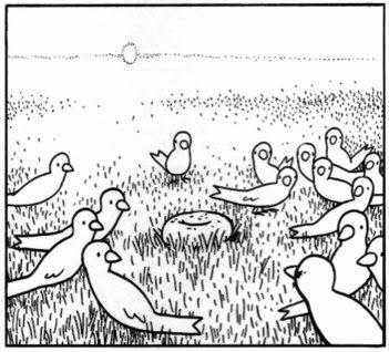 Grandes preguntas, de Anders Nilsen. Filosofía animal.