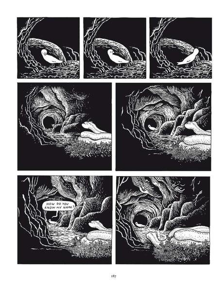 Grandes preguntas, de Anders Nilsen. Filosofía animal.