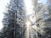 Distorsión cognitiva Pensamiento todo nada.