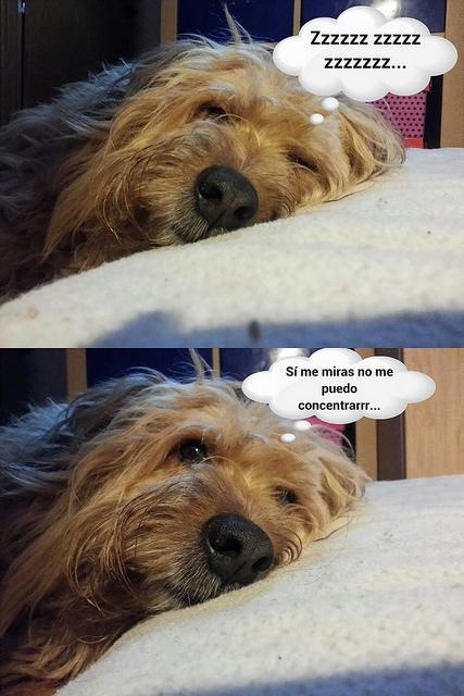 estamos tan agustito