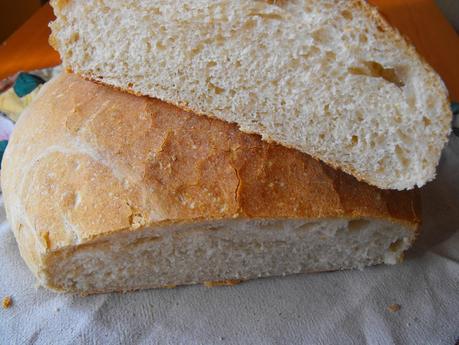 Pan básico, amasado en panificadora