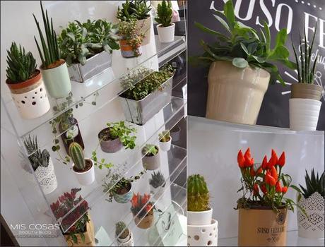 Davines · Pure Colour by Suso Fercort