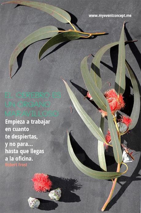 5 pequeñas acciones para ser más creativo… Cerebro_maravilloso