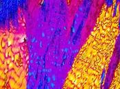 alcohol transformado arte