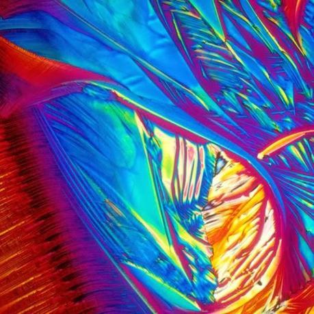 Las bebidas alcohólicas más populares, convertidas en arte