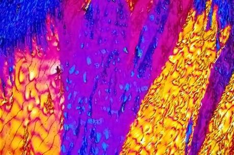 Las bebidas alcohólicas más populares, convertidas en arte