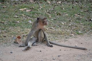 Día 9: La Maravilla de Angkor. Parte 1