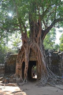 Día 9: La Maravilla de Angkor. Parte 1